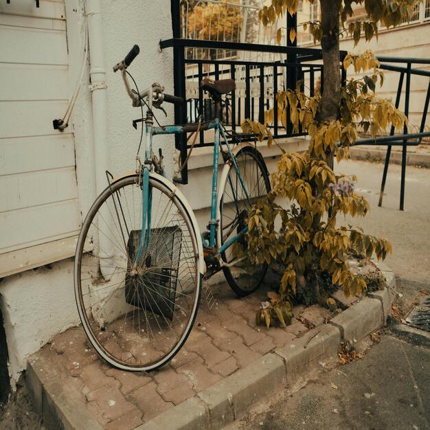 BICICLETAS USADAS PARA RUTAS ECOLÓGICAS: UNA OPCIÓN SOSTENIBLE Y ECONÓMICA