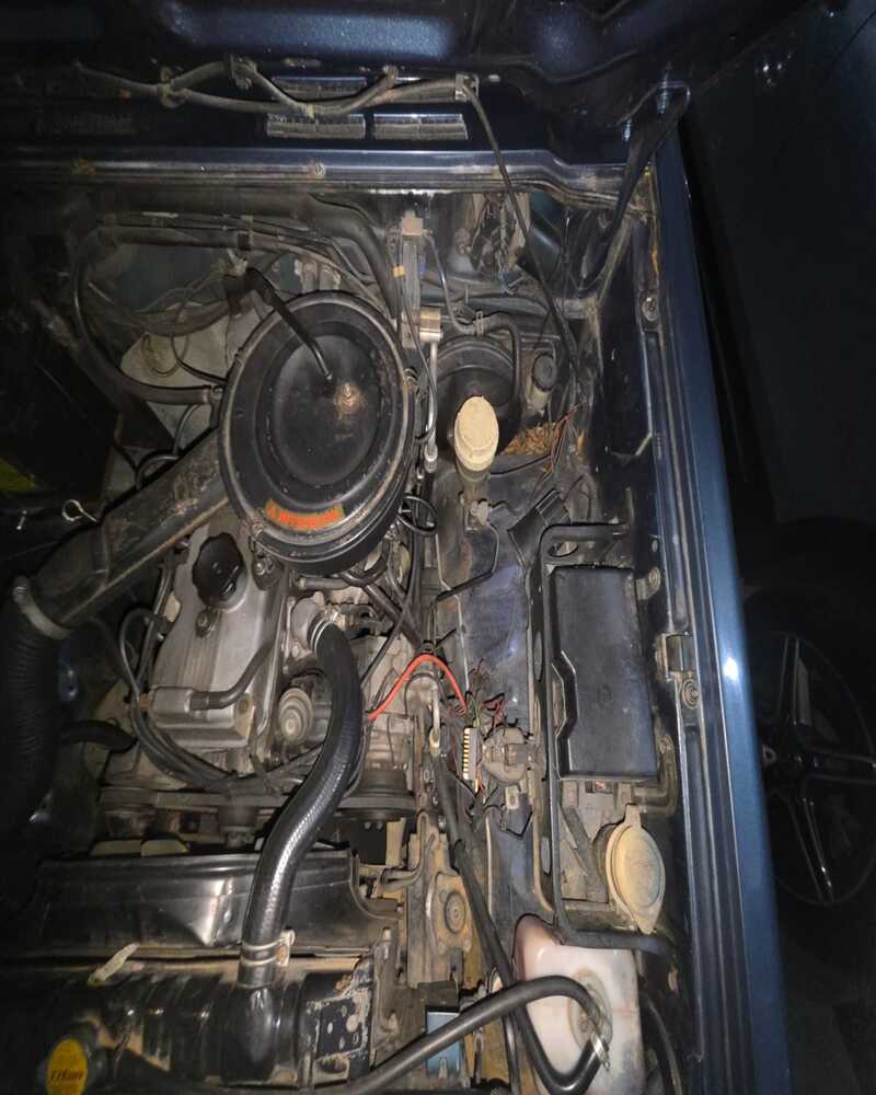 Montero